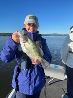 Fishing in Dardanelle, Arkansas