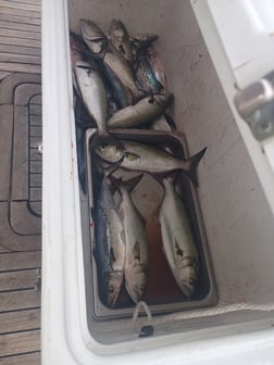 Fishing in Norfolk, Virginia