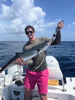 Fishing in Islamorada, Florida