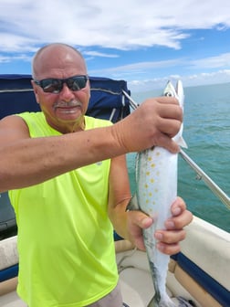 Fishing in Fort Myers Beach, Florida
