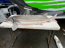 Fishing in Garibaldi, Oregon