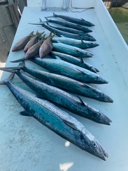 Fishing in Key West, Florida