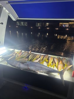 Fishing in Key Biscayne, Florida