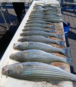 Fishing in Kingston, Oklahoma