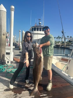 Fishing in Long Beach, California