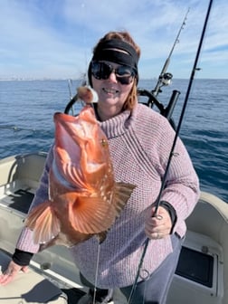 Fishing in Panama City, Florida