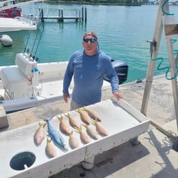 Fishing in Marathon, Florida