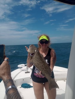 Fishing in Port Charlotte, Florida