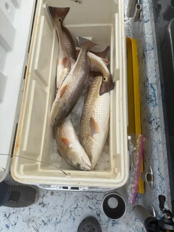 Fishing in Rockport, Texas