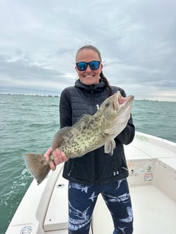 Fishing in Sarasota, Florida