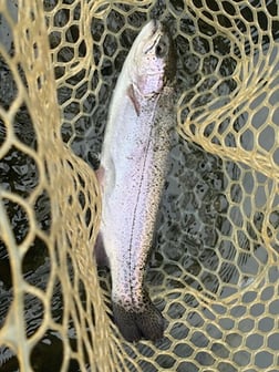 Fishing in Broken Bow, Oklahoma