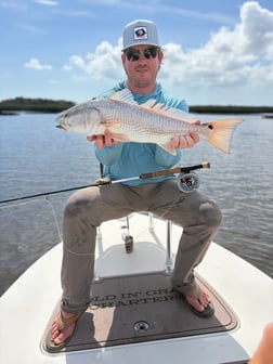Fishing in Nocatee, Florida
