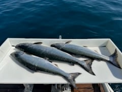 Fishing in Kenosha, Wisconsin