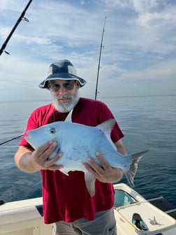 Fishing in Key Biscayne, Florida