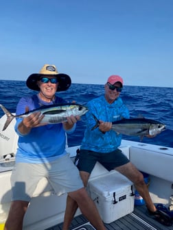 Fishing in Islamorada, Florida