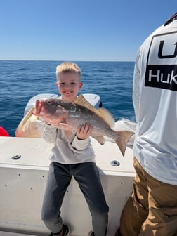 Fishing in Sarasota, Florida