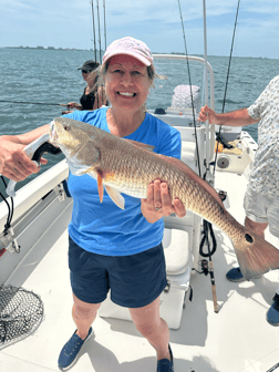 Fishing in Sarasota, Florida