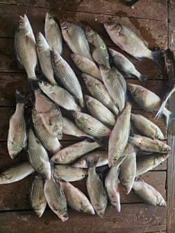 Fishing in Kingston, Oklahoma