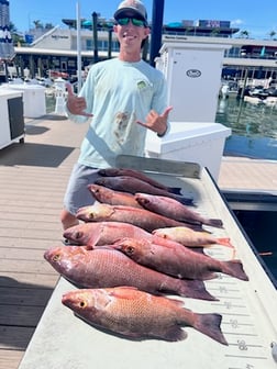 Fishing in Clearwater, Florida
