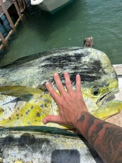 Fishing in Riviera Beach, Florida