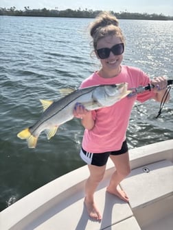 Fishing in Sarasota, Florida