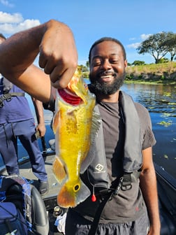 Fishing in Fort Lauderdale, Florida