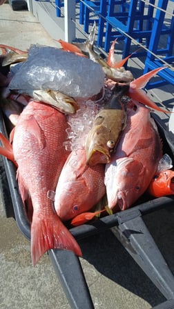Fishing in Placida, Florida