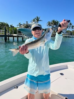 Fishing in Sarasota, Florida
