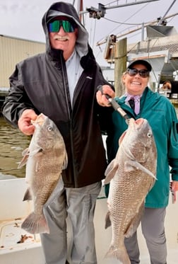 Fishing in D'Iberville, Mississippi