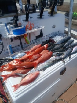 Fishing in Gulf Breeze, Florida