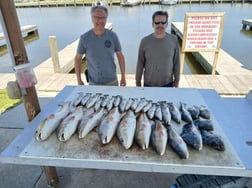 Fishing in Lafitte, Louisiana