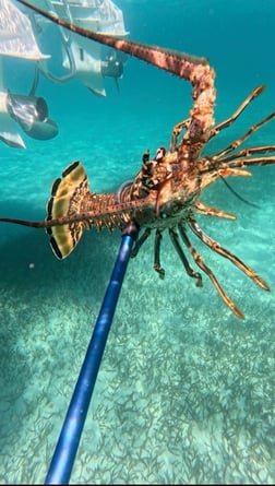 Fishing in Islamorada, Florida