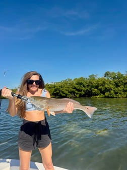 Fishing in Boca Grande, Florida