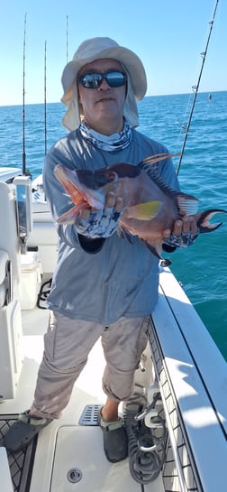 Fishing in Sarasota, Florida