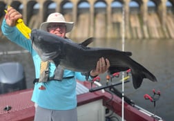 Fishing in Decatur, Alabama