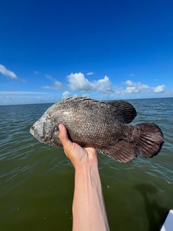 Fishing in Apalachicola, Florida
