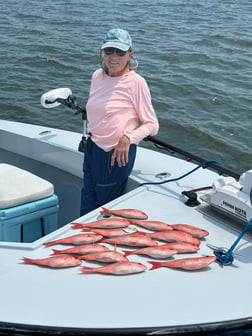 Fishing in Pensacola, Florida
