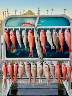 Fishing in Shalimar, Florida