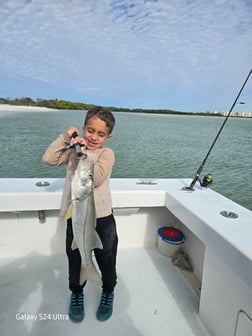 Fishing in St. Petersburg, Florida