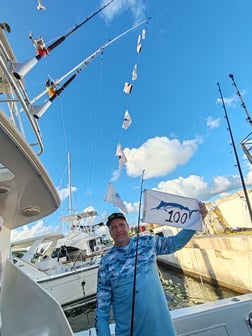 Blue Marlin Fishing in Punta Cana, Dominican Republic