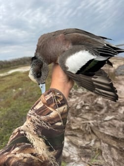 Hunting in Port O'Connor, Texas