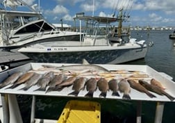 Fishing in Key West, Florida