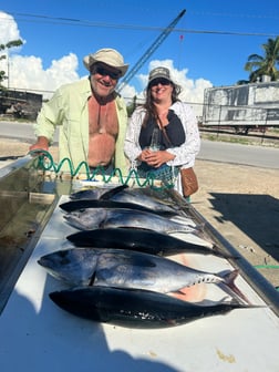 Cobia fishing in Marathon, Florida