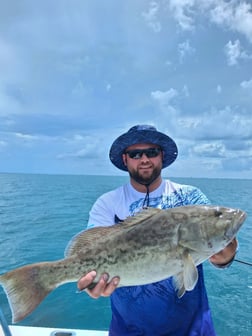 Fishing in Treasure Island, Florida