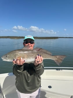 Fishing in Folly Beach, South Carolina