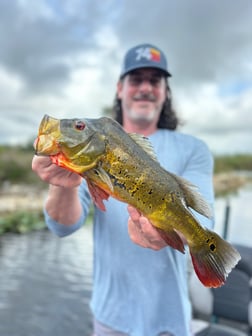 Fishing in Fort Lauderdale, Florida