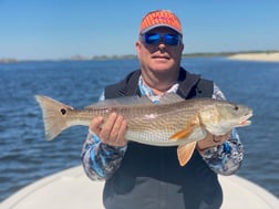 Black Drum Fishing in Jacksonville Beach, Florida