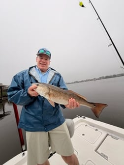 Fishing in Fayetteville, Texas