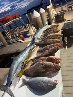 Fishing in Key West, Florida