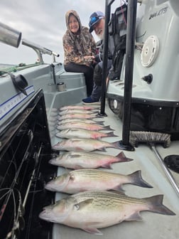 Fishing in Tolar, Texas